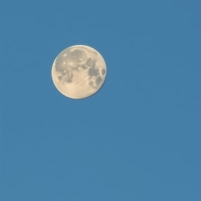 Moon Art